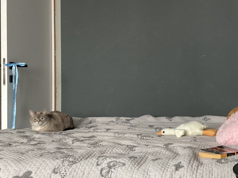 #