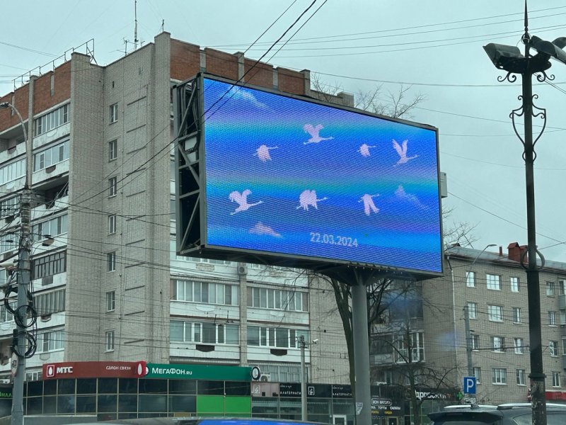 Жители Вологодчины присоединились к акции в память о жертвах теракта в Подмосковье