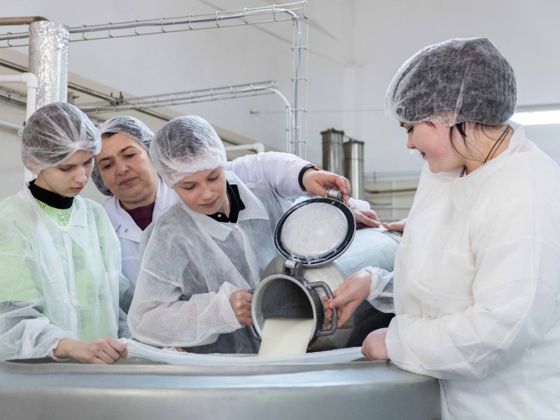 Вологодские школьники сами изготовили сыр в экспериментальном цехе УОМЗ