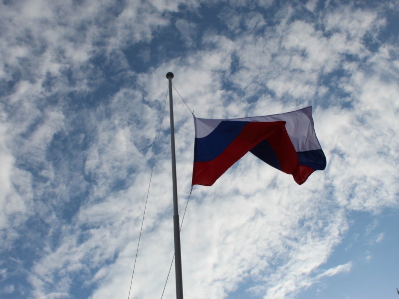 Флешмоб баянистов пройдет в Вологде в День России