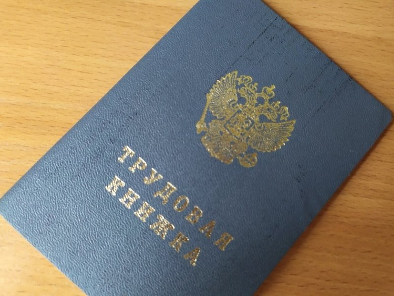 Лучшие практики содействия трудоустройству выпускников выбраны в Вологодской области