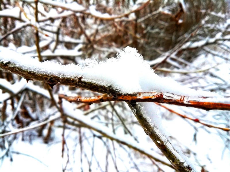 В связи с ухудшением погодных условий губернатор области Георгий Филимонов дал указание местным администрациям активизировать работу коммунальных служб