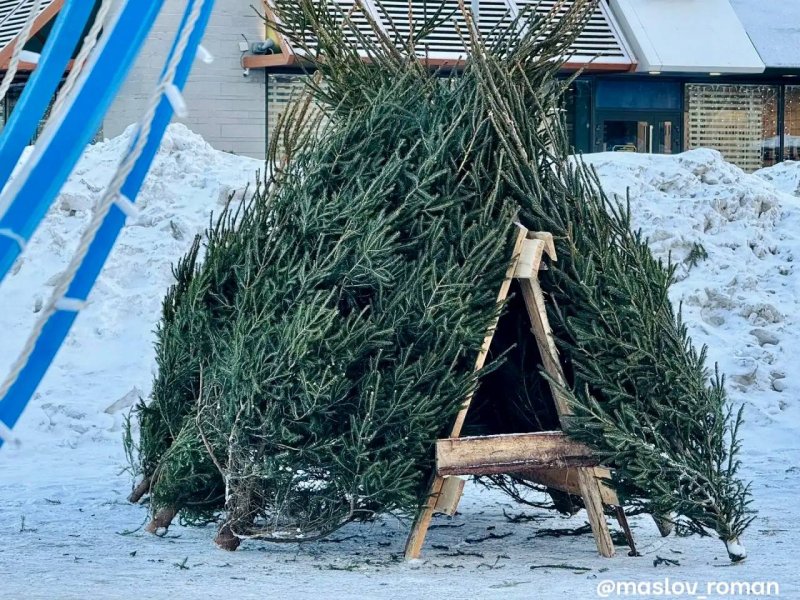 В Череповце начали работу ёлочные ярмарки