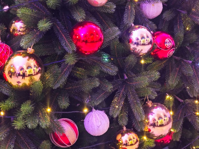 Вологжане смогут провести новогодние праздники в Белозерском областном краеведческом музее