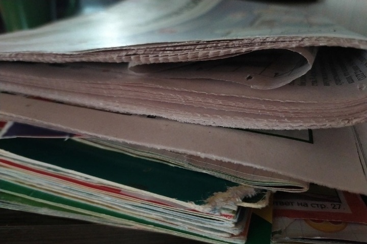 Вологжанам предлагают завести полезные экопривычки в 2026 году