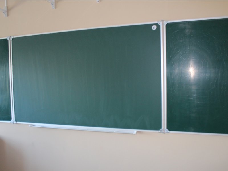 Заключительный этап Всероссийской олимпиады школьников по экологии пройдет в Вологде