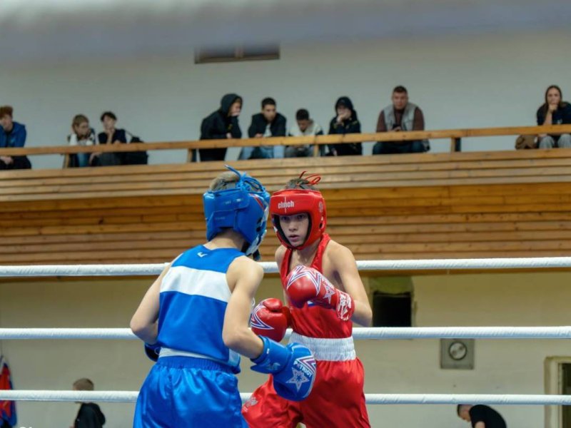 Первенство по боксу памяти Василия Кирьянова состоялось в Череповце